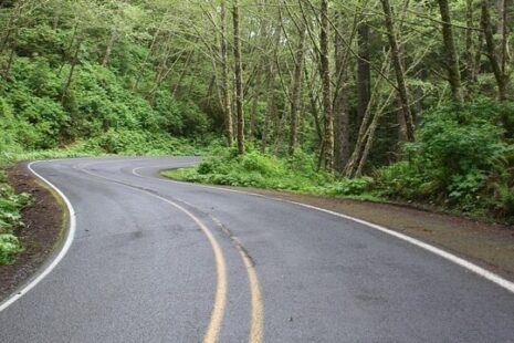 when alzheimers was first discovered