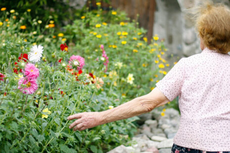 dementia patients wandering